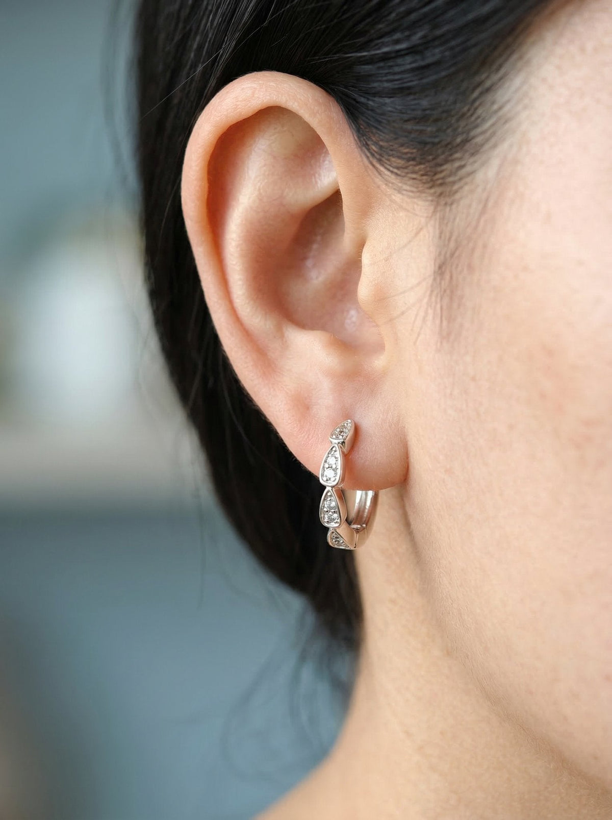 Rena Huggie Earrings